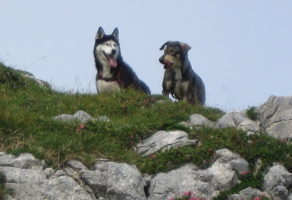 Nora und Ina am Berg