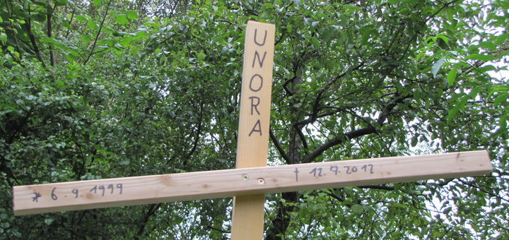 Noras Kreuz 2012