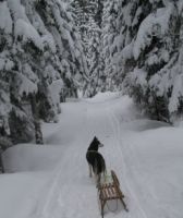 Auf dem Weg zum Brünnstein